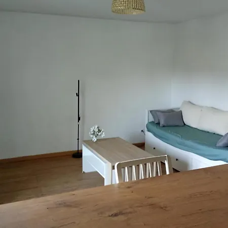 Bright With Pool And Tennis טולוז